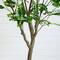 7ft. Potted Green Artificial Greco Citrus Tree with Real Touch Leaves
